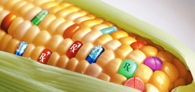 transgenicos_agricultura_europea