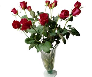 Flores, ramo, jarr�n