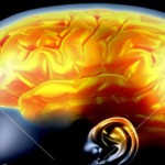envejecimiento_cerebro