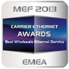 MEF 2013 award image 2 (en)