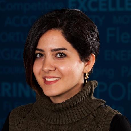 Image of Solmaz Abbaspoursani