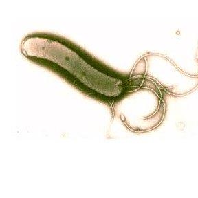 @David-Reguera-Garcia-Dreg