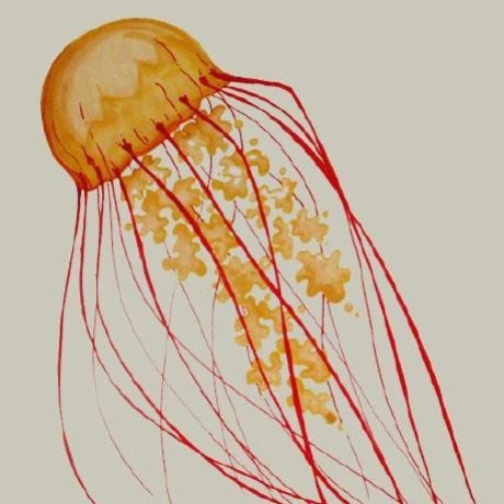 CodingJellyfish
