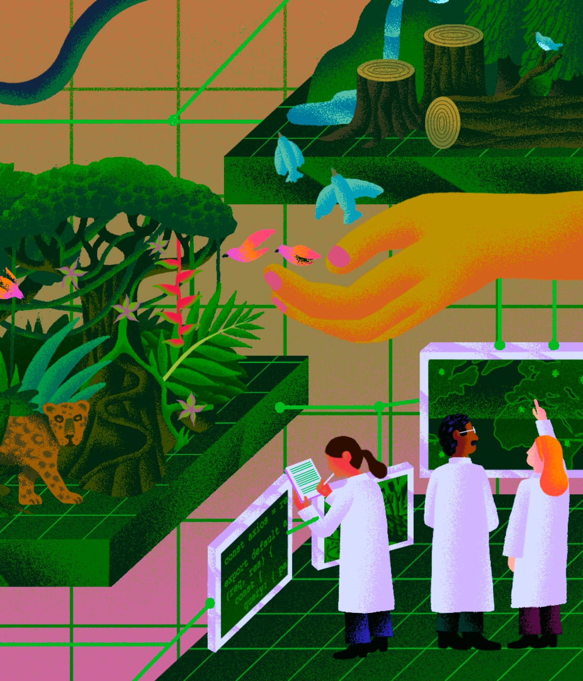 Picture of Feature  Story