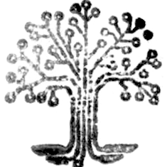 @patriciogonzalezvivo