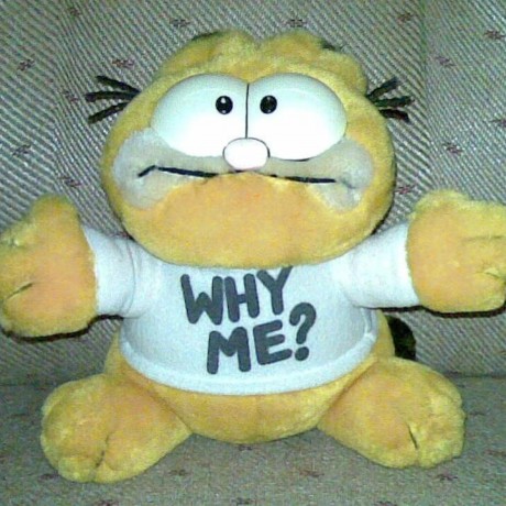 @garfield69