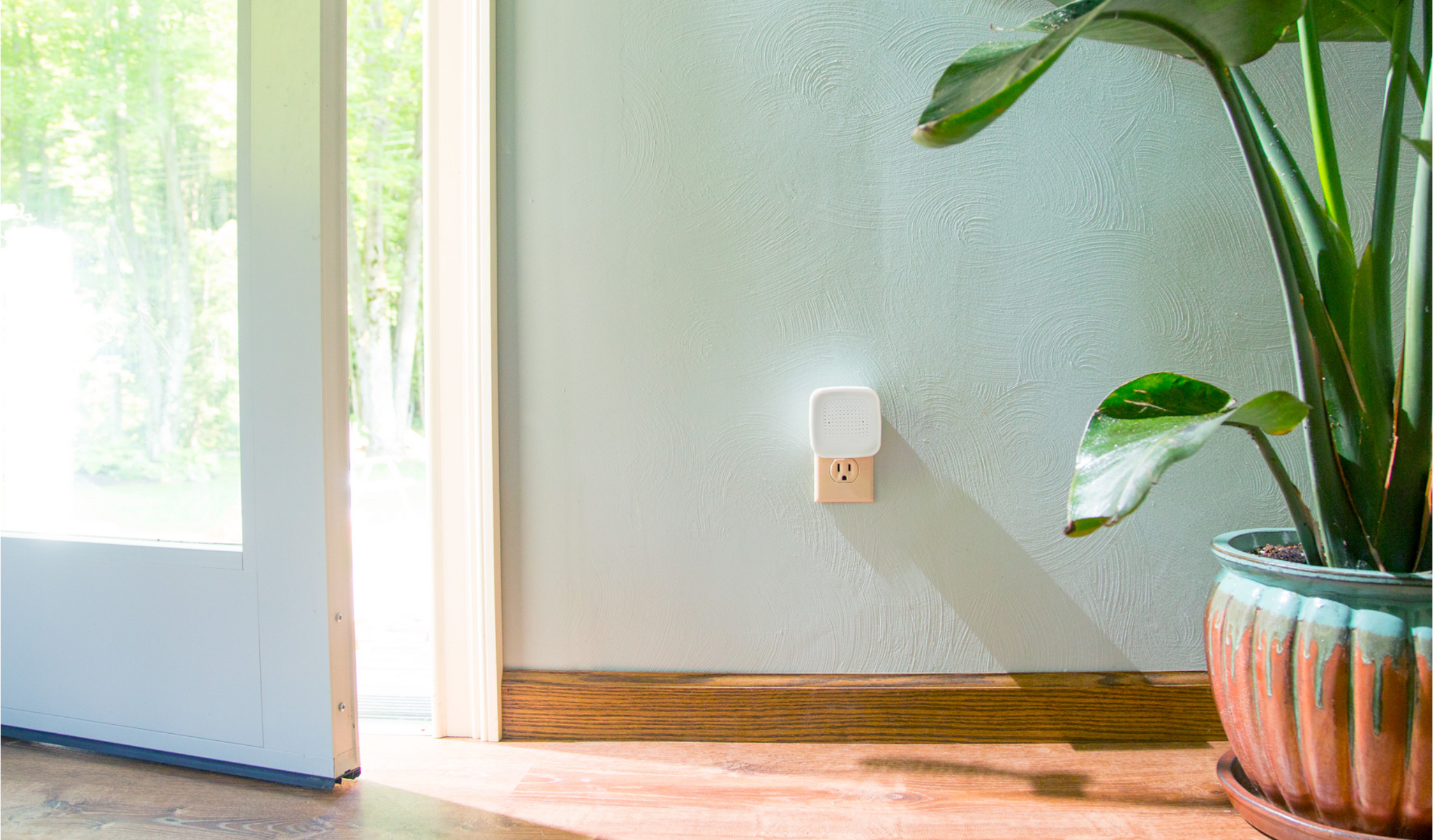 SEE SOUND device plugged into wall next to plant and open exterior door