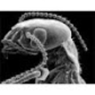 @definitelynotsoftware